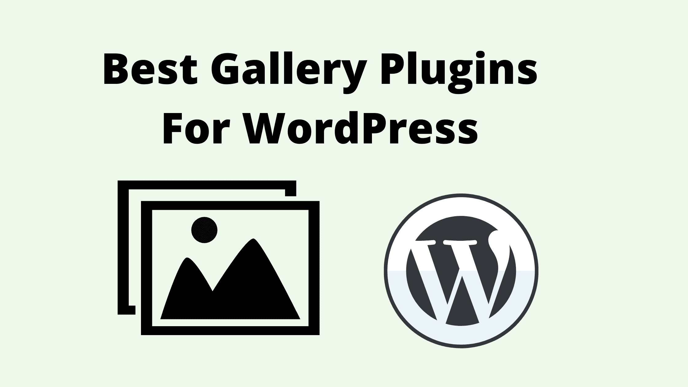 Best Gallery Plugins For WordPress