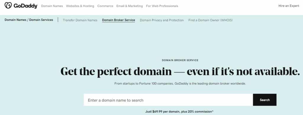 how does domain broker service work