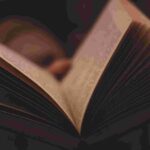 best ai novel writing software