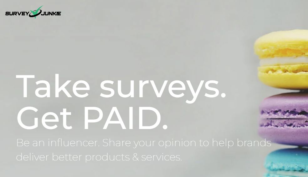 what is survey junkie